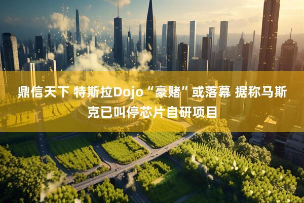 鼎信天下 特斯拉Dojo“豪赌”或落幕 据称马斯克已叫停芯片自研项目