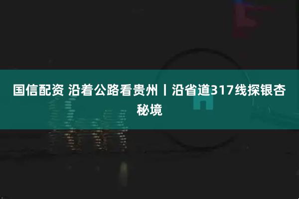 国信配资 沿着公路看贵州丨沿省道317线探银杏秘境