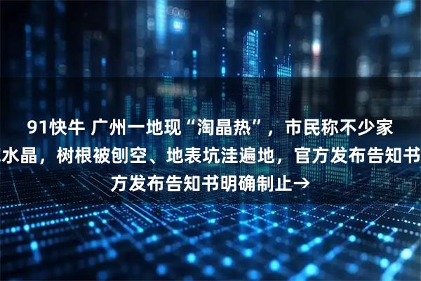 91快牛 广州一地现“淘晶热”，市民称不少家长带孩子挖水晶，树根被刨空、地表坑洼遍地，官方发布告知书明确制止→