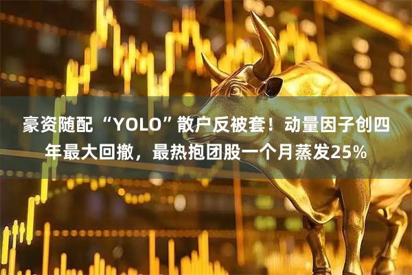豪资随配 “YOLO”散户反被套！动量因子创四年最大回撤，最热抱团股一个月蒸发25%
